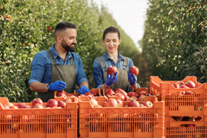 Farm Insurance - Service Box Farm Insurance