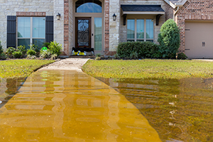 Flood Insurance - Service Box Flood Insurance